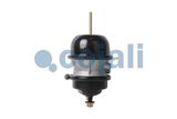 COJALI Kombipidurisilinder 2851100