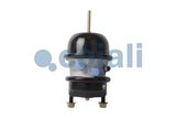 COJALI Kombipidurisilinder 2851100