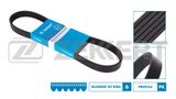 ZEKKERT V formos rumbuoti diržai KR-6PK1200