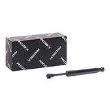 RIDEX dujinė spyruoklė, bagažinė 219G0141