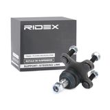 RIDEX Šarniir 2462S0042