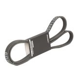 RIDEX Flerspårsrem 305P0209