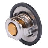 RIDEX Термостат, охлаждающая жидкость 316T0031