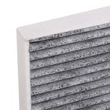 RIDEX Filter,salongiõhk 424I0041