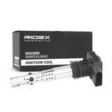 RIDEX Süütepool 689C0006