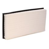 RIDEX Luftfilter 8A0003