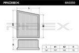 RIDEX Воздушный фильтр 8A0250