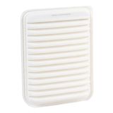 RIDEX oro filtras 8A0441