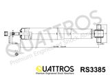 DAVID VASCO Амортизатор RS3385