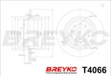 DAVID VASCO Bromsskiva T4066
