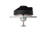 VALEO EGR-klapp 703266