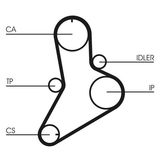 CONTINENTAL CTAM Pasek rozrządu CT622