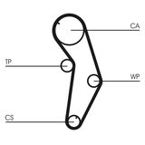 CONTINENTAL CTAM Pasek rozrządu CT821