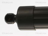 TRISCAN Gaasivedru, pagasi-/veoruum 8710 17303