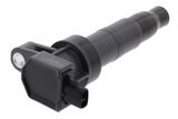 MAPCO Süütepool 80574