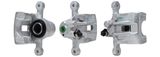 DRI Jarrusatula 4145220