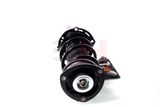 GH Vedruamort GH-359965C02