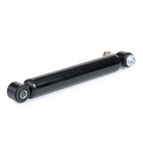 RIDEX Rooliamort 130S0015