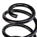 RIDEX Пружина ходовой части 188C0308
