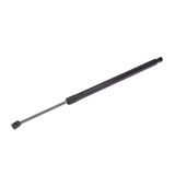 RIDEX dujinė spyruoklė, bagažinė 219G0589