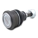 RIDEX Šarnyras / girgždukas 2462S0309