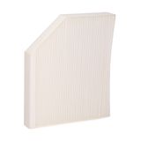 RIDEX Eļļas filtrs 4055F0206