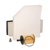 RIDEX Eļļas filtrs 4055F0206