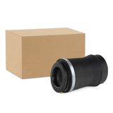 RIDEX Õhkvedru,vedrustus 4119A0043