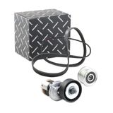 RIDEX Flerspårsremssats 542R0249