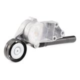RIDEX Flerspårsremssats 542R0494