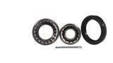 SKF Комплект подшипника ступицы колеса VKBA 505