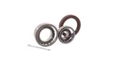 SKF Комплект подшипника ступицы колеса VKBA 523