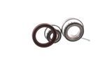 SKF Комплект подшипника ступицы колеса VKBA 523