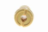 VAICO Gummibuffert, fjädring V22-0169