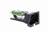 VEMO Регулятор, вентилятор салона V20-79-0003-1