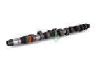 Schaeffler INA Kamaxel 428 0079 10