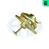 ERA EGR-klapp 555076A