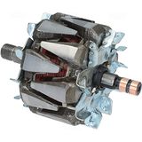 HC-Cargo Rotor, generator F032335782
