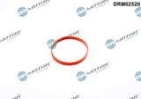Dr.Motor Automotive Tihend, drosselventiil DRM02520