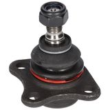 BIRTH Pallonivel CX9219