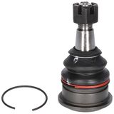 BIRTH Pallonivel CX9236