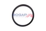 BOGAP Tihend,kütusepump A1623103