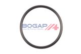 BOGAP Водяной насос, охлаждение двигателя A4234171