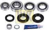 Schaeffler LuK Remkomplekts, Diferenciālis 462 0330 10