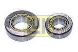 Schaeffler LuK Remkomplekts, Diferenciālis 462 5008 70