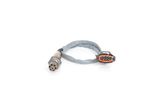 BOSCH Lambdasond 0 258 006 171