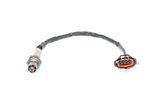 BOSCH lambda jutiklis 0 258 006 347