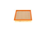 BOSCH oro filtras 1 987 429 194