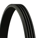 CONTINENTAL CTAM Moniurahihna 4PK753 ELAST