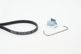 CONTINENTAL CTAM Soonrihmakomplekt 4PK916 ELAST T1